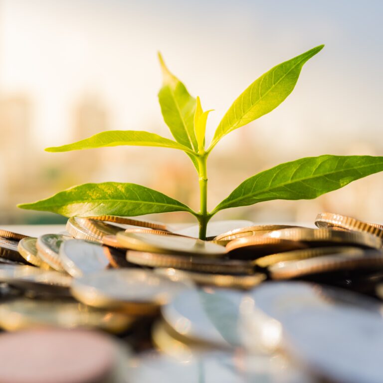 Sustainable Finance with Zacharias Sautner